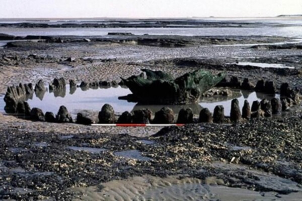 Holme I timber enclosure with central inverted oak stump.