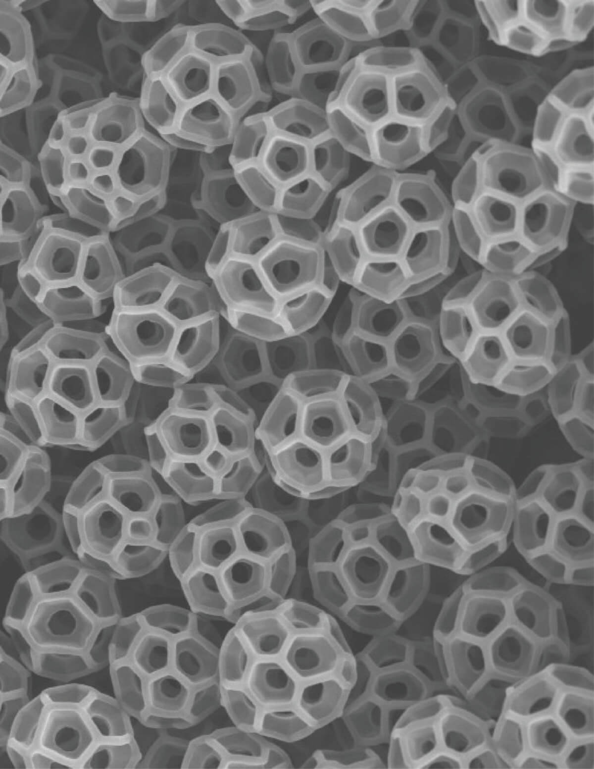 Pictured are brochosomes produced by leafhopper G. serpenta.