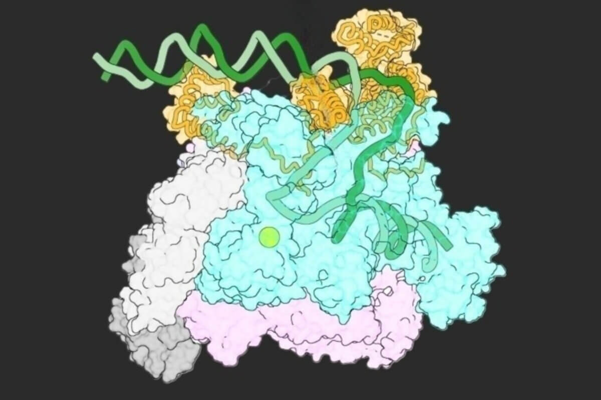 DNA Image