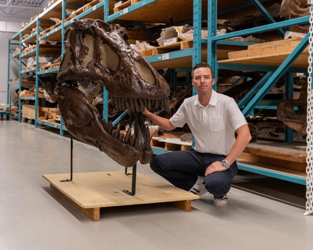 Dr. Jordan Mallon beside the cast of a T.rex in the collections of the Canadian Museum of Nature. The specimen is from a skeleton in the American Museum of Natural History. 