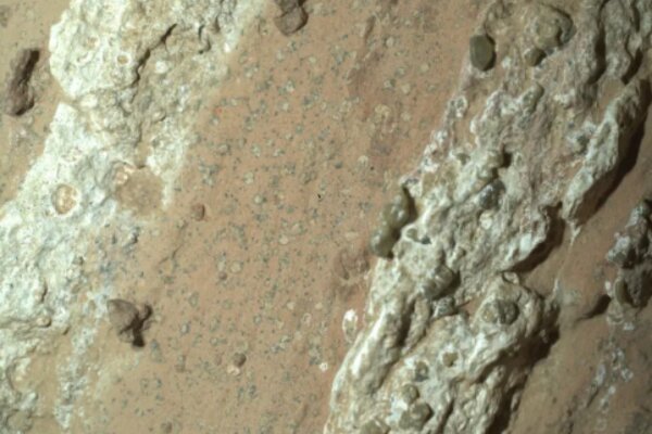 The Perseverance rover found dozens of irregularly shaped, millimeter-size off-white splotches, each ringed with black material, akin to leopard spots.