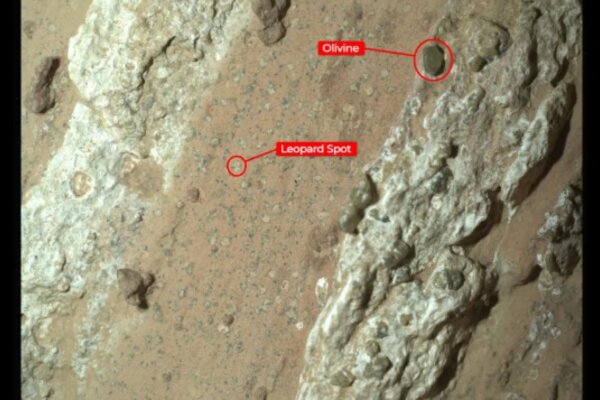 The Perseverance rover found dozens of irregularly shaped, millimeter-size off-white splotches, each ringed with black material, akin to leopard spots.
