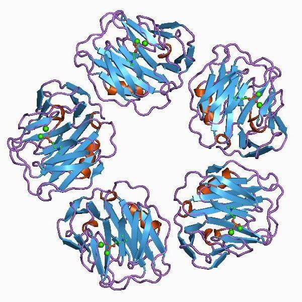 c-reactive-protein