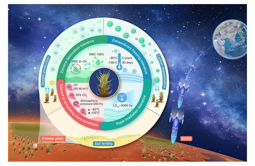 Mars plants