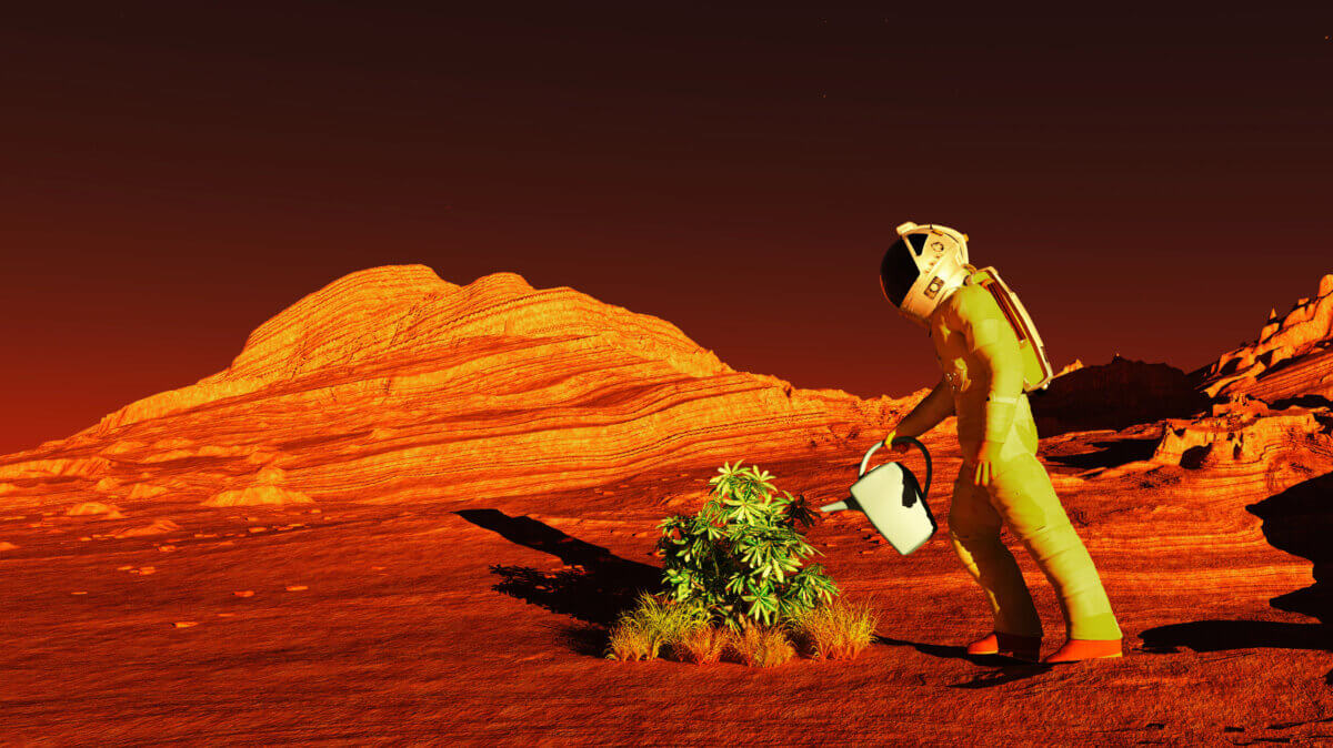 Plant being watered on Mars
