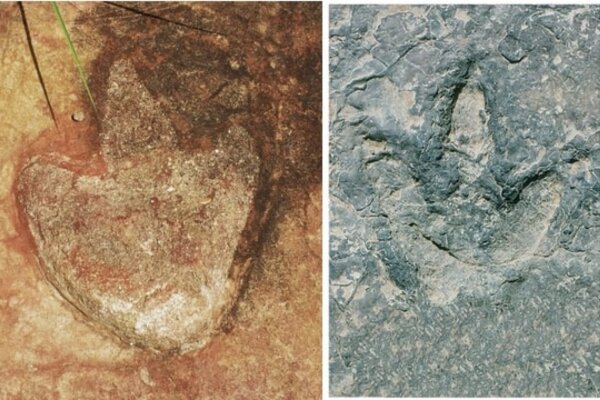 L. Theropod footprint from Sousa Basin, Lower Cretaceous of Northeastern Brazil. Credit: Ismar de Souza Carvalho. R. Theropod tracks from the Koum Basin in Cameroon.