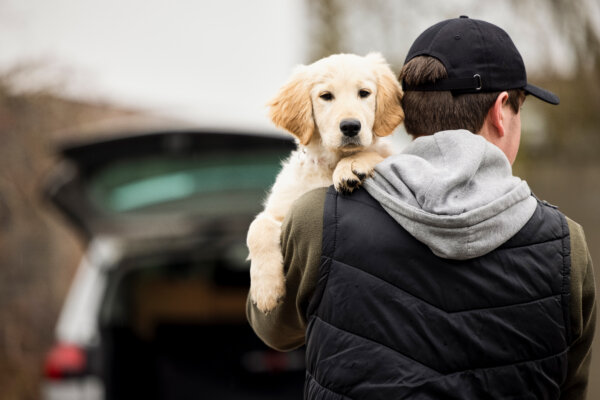 Dognapping: Thief takes puppy to his car