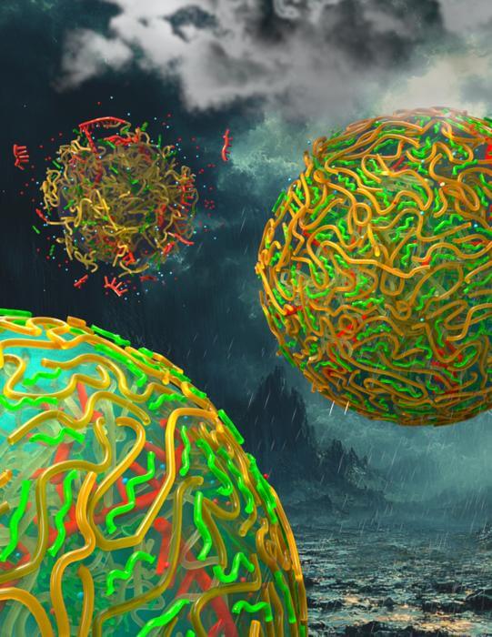 A new paper from the UChicago Pritzker School of Molecular Engineering, University of Houston Chemical Engineering Department and Chicago Center for the Origins of Life suggests rainwater could have helped create a meshy wall around protocells 3.8 billion years ago, a critical step in the transition from tiny beads of RNA to every bacterium, plant, animal, and human that ever lived. 