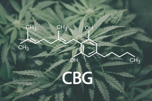 Cannabis plants with the CBG chemical formula. cannabigerol molecule.