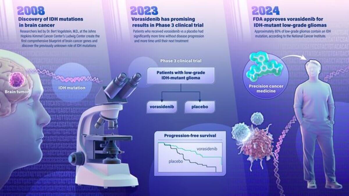 FDA approves brain cancer drug, targeting the IDH mutation discovered at the Johns Hopkins Kimmel Cancer Center.