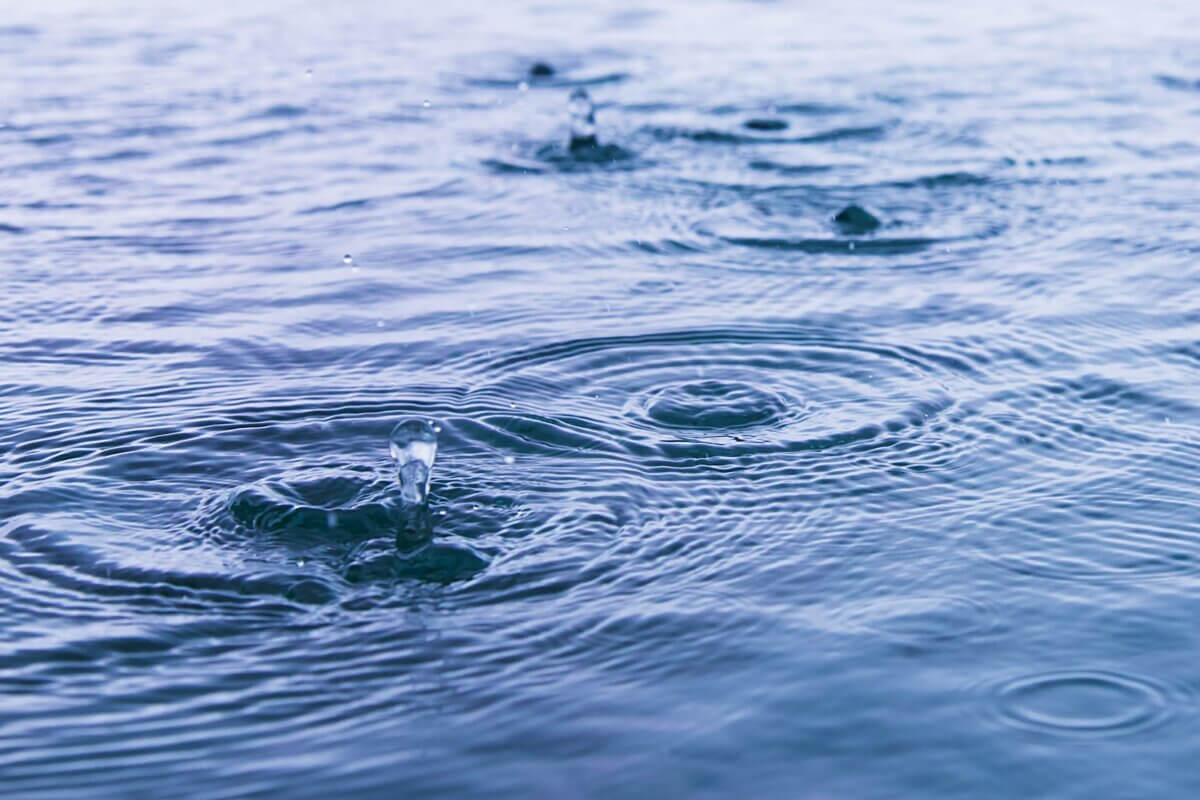 raindrops