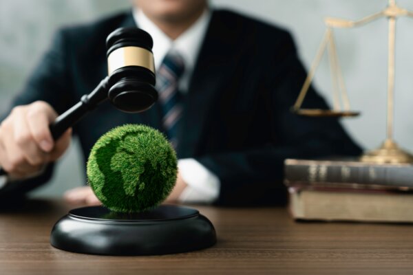 Judge hold wooden gavel with golden scale and globe for law international environmental