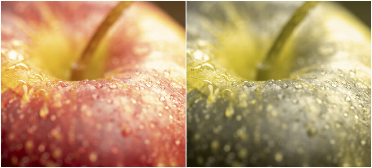view of apple discolored by color blindness