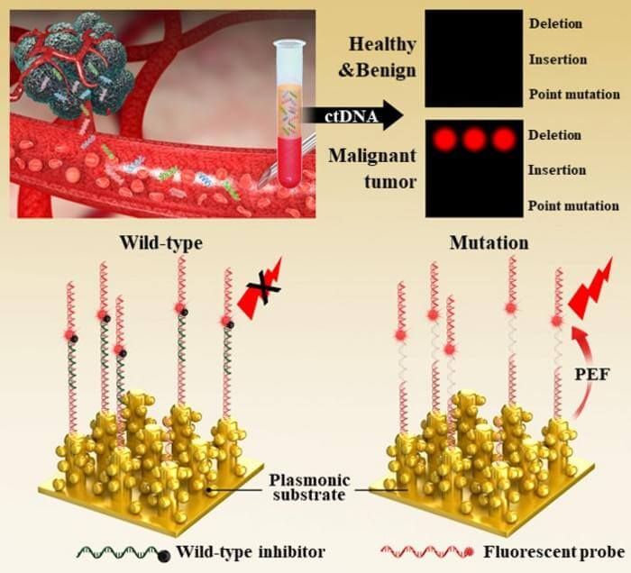 Representative diagram of 3D nanoplasmonics-based technology for detecting mutant genes in blood 