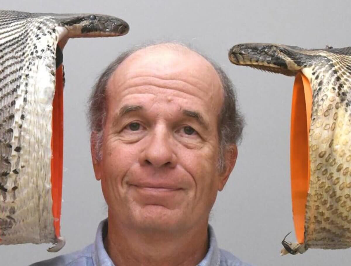 Bruce Jayne Pythons