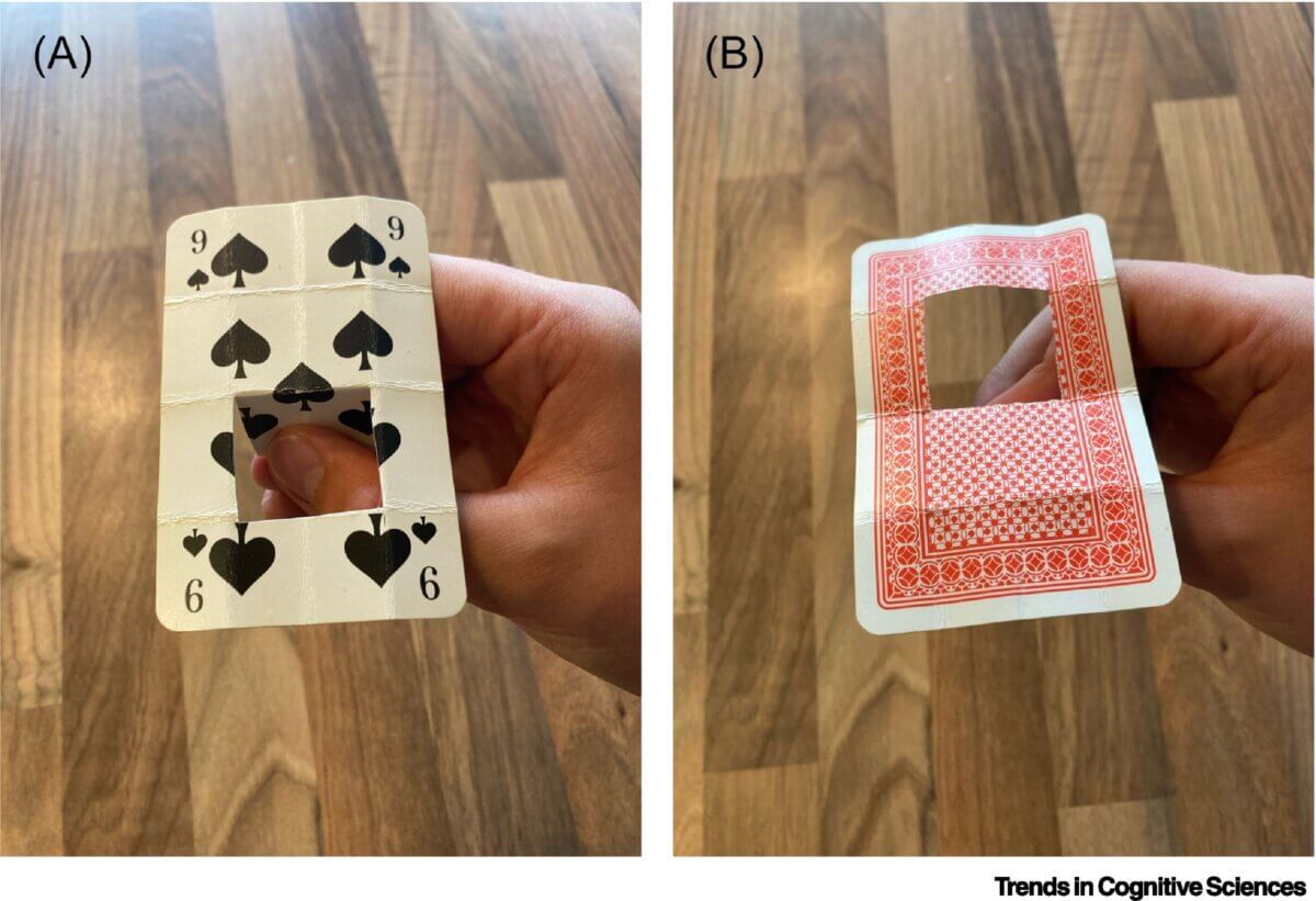 Robert Neale’s trapdoor card trick.