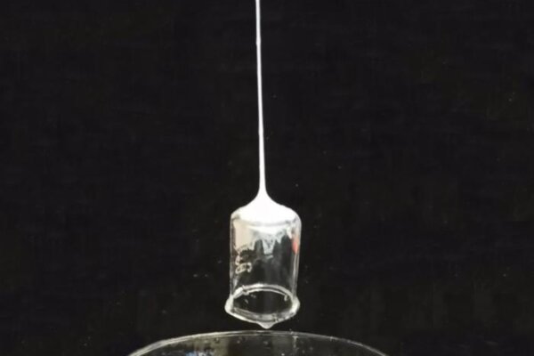 Liquid stream of silk solution solidifies to a fiber, adheres to and lifts a glass laboratory beaker