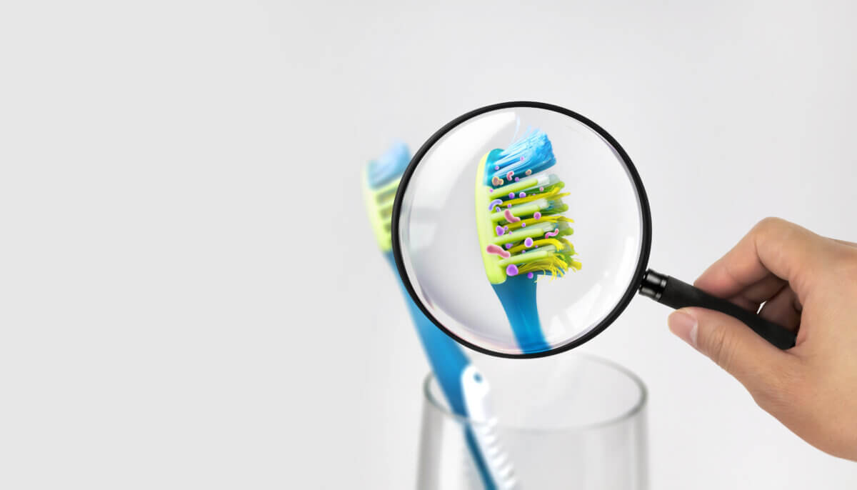 Bacteria in a toothbrush