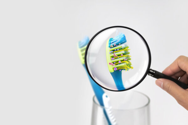 Bacteria in a toothbrush