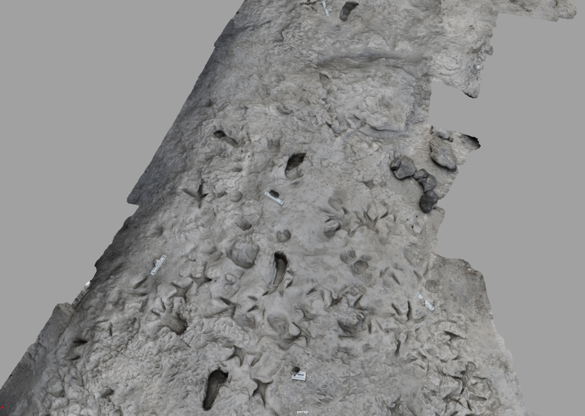 A 3D computerized model of the surface of the area near Lake Turkana in Kenya shows fossil footprints 