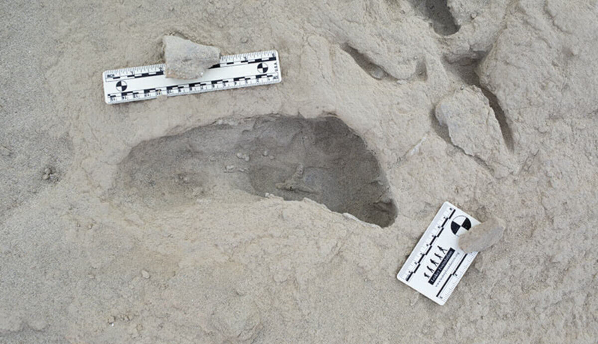 Fossil footprint