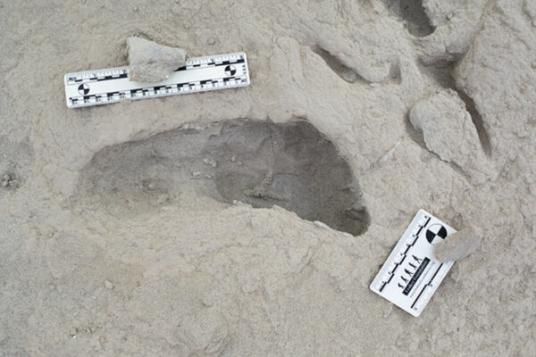A footprint hypothesized to have been created by a Paranthropus boisei individual.