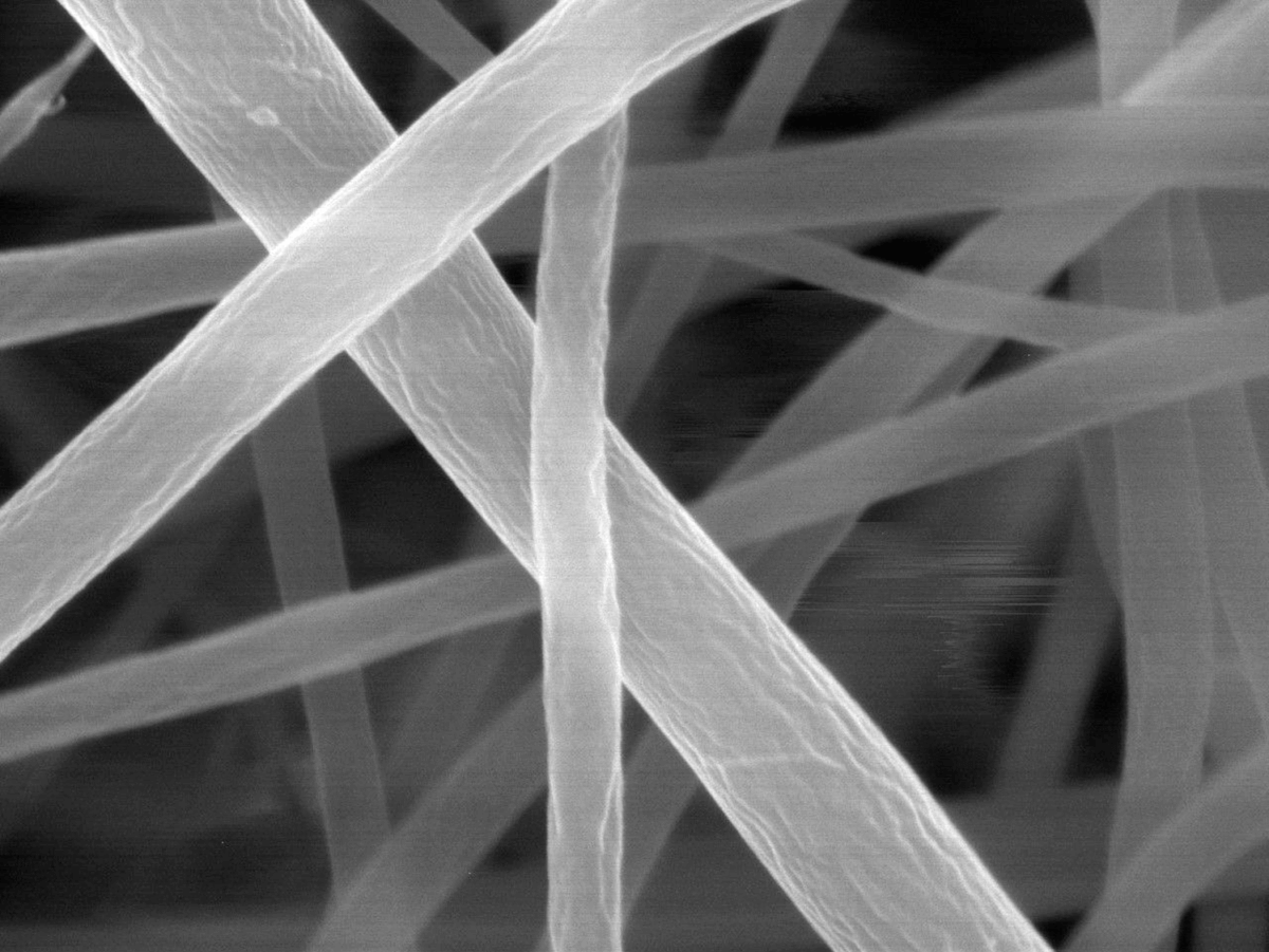 The team used a scanning electron microscope, scanning the mat with a focused beam of electrons and creating an image based on the pattern of electrons that are deflected or knocked-off.