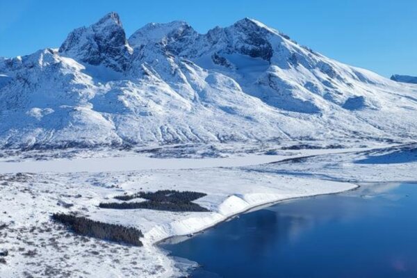 Snow reflects the sunlight back into space without converting it into heat (the albedo effect). The trees in this plantation in South Greenland reduce the albedo effect.