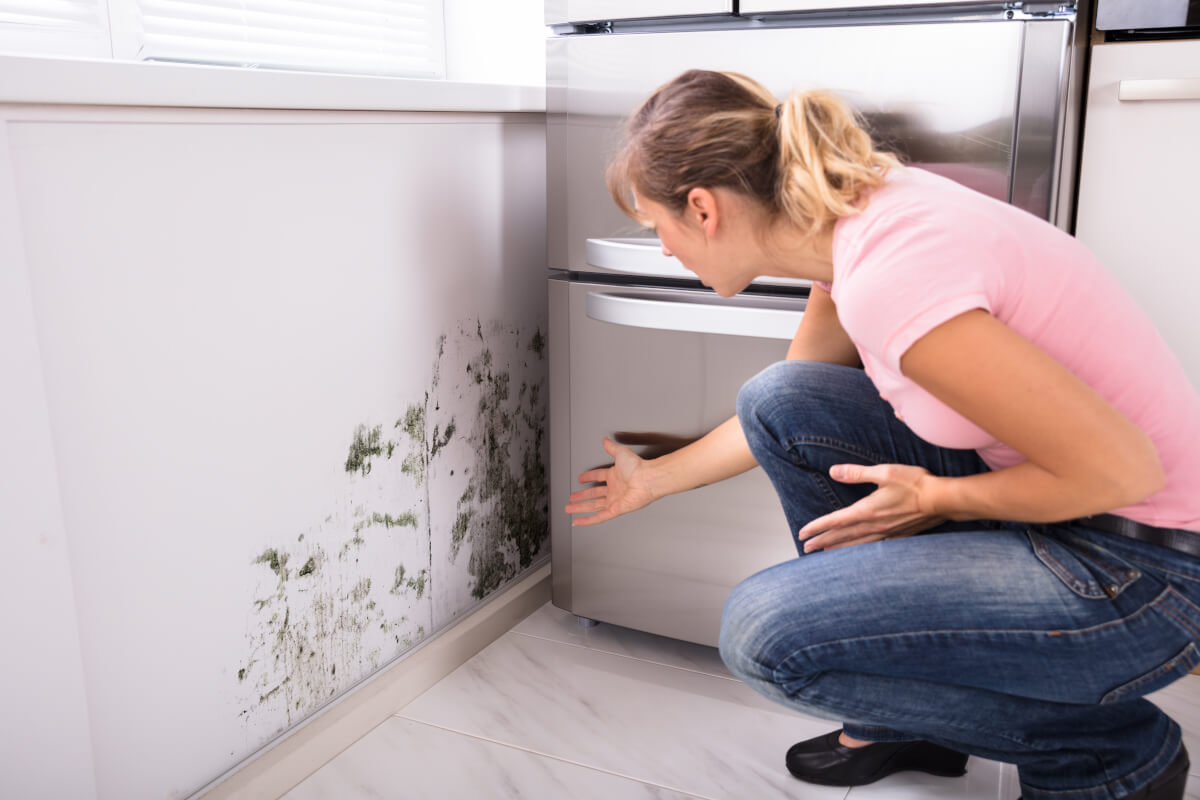 Shocked Woman Looking At Mold On Wall