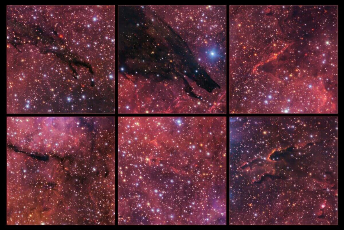 This collage highlights some details within the huge Dark Wolf Nebula, such as the wolf’s “head”, seen here in the top-centre image. The pillars in the images to the right form when intense radiation from young stars encounters dense pockets of dust and gas. This radiation erodes and blows away the lighter material around these dense pockets, creating these pillar-like structures. 