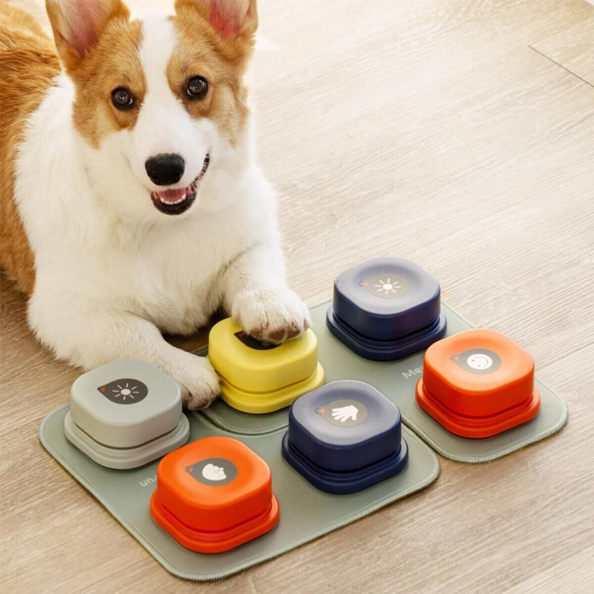 MEWOOFUN Dog Talking Starter Pack
