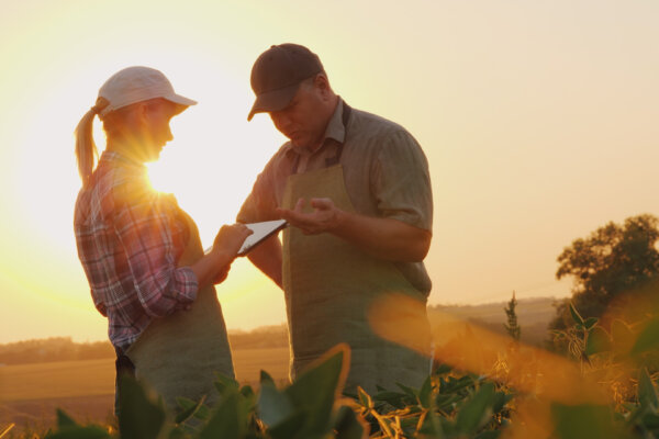 Married farmers doing work in the field as the sun sets