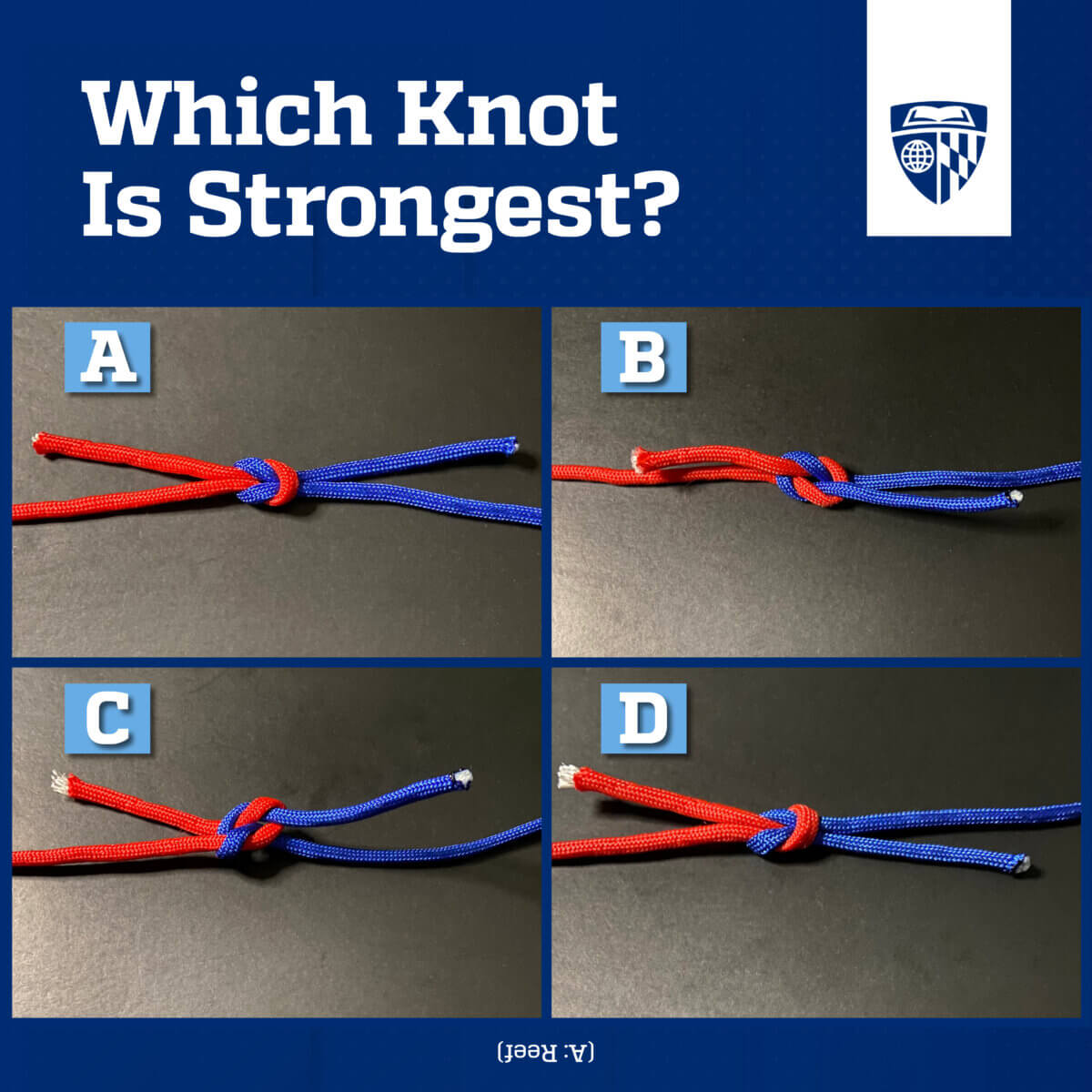 The researchers showed participants four knots that are physically similar but have a hierarchy of strength.