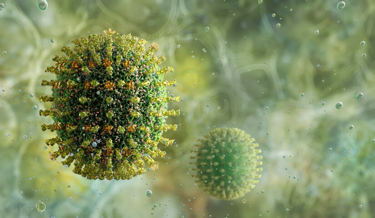 Influenza Virus