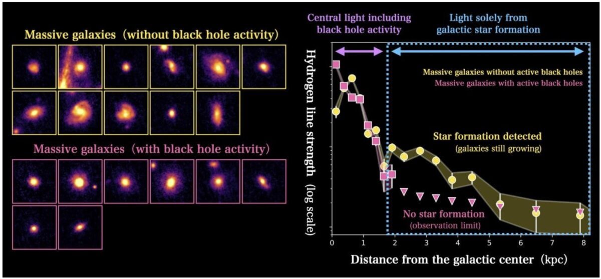 The team investigated the formation sites of giant elliptical galaxies. As a result, they find that star formation is suppressed along with the SMBH activity in about half of approximately 20 massive galaxies. 