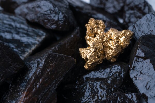 Gold Nugget