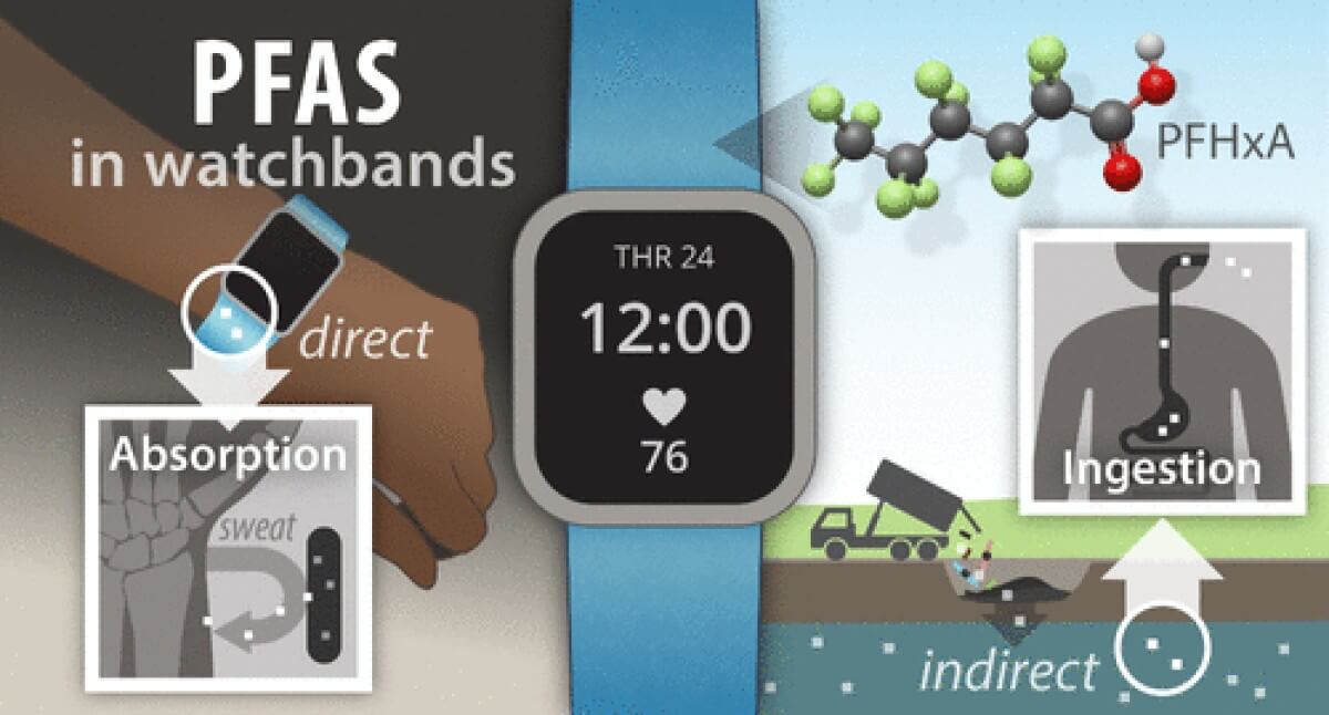 smartwatch chemicals leaching into the environment