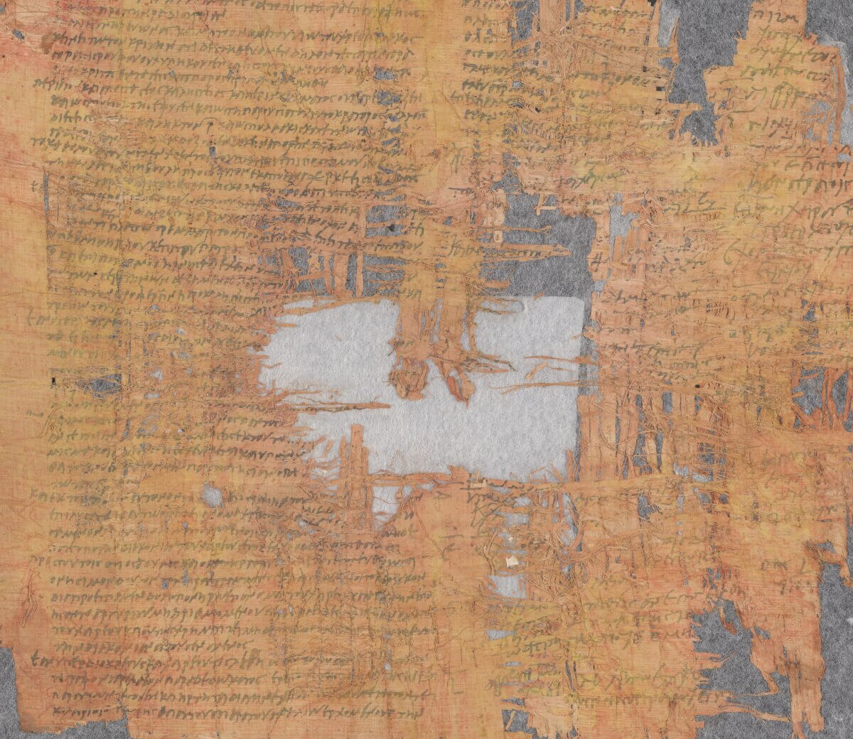 Papyrus Cotton