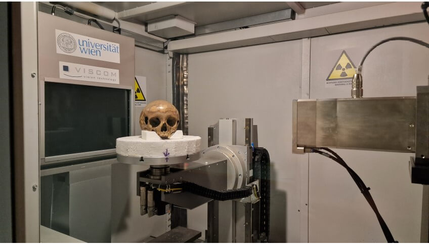 The Octagon cranium is scanned in the Vienna Micro-CT Lab to a resolution of 80 micrometer.