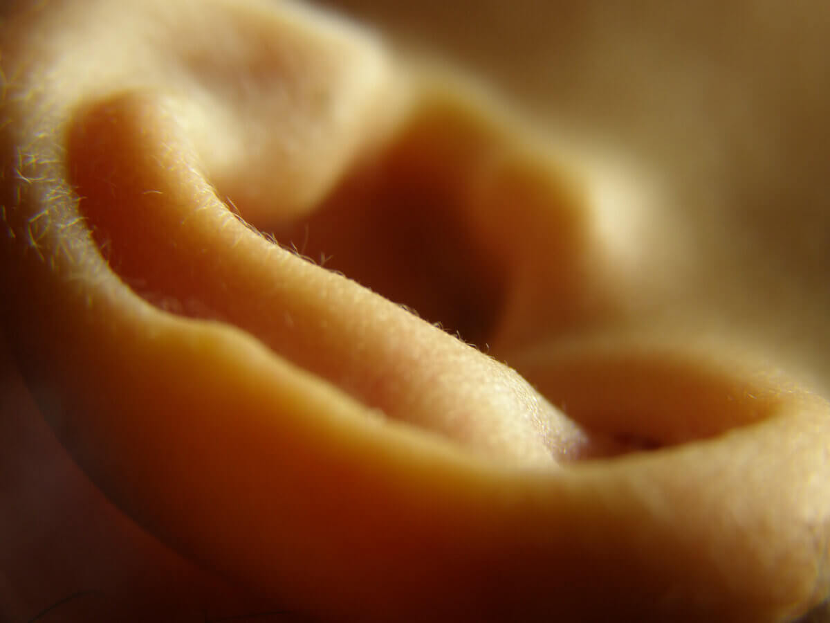 Closeup of child's outer ear