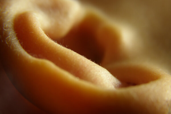 Closeup of child's outer ear