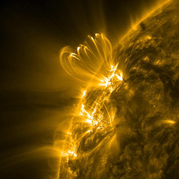 Coronal loops