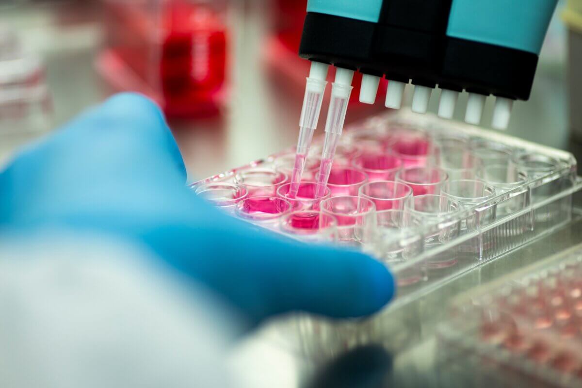 Geneticist working with cultures in lab for genetic testing