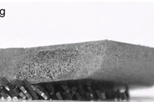 The microscopic robots lift an object.