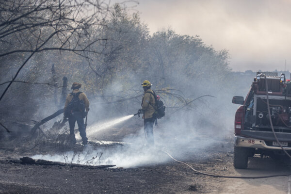 Firefighters battle multiple wildfires across Los Angeles on January 8, 2025