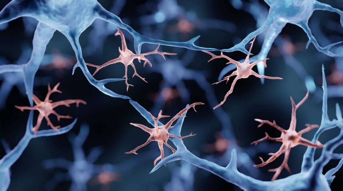 Microglia