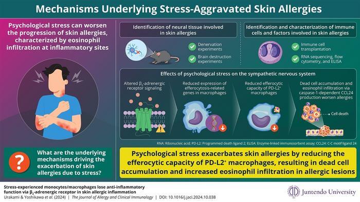 An infographic showing how stress can worsen skin allergy symptoms