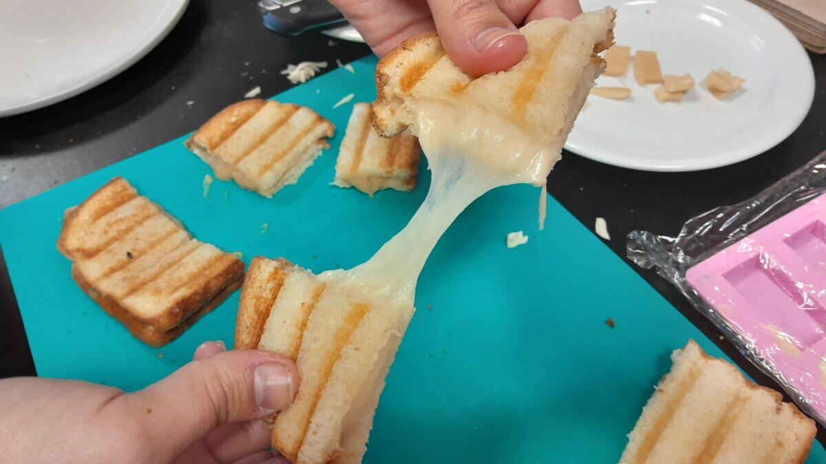 Plant-based cheese samples used in study