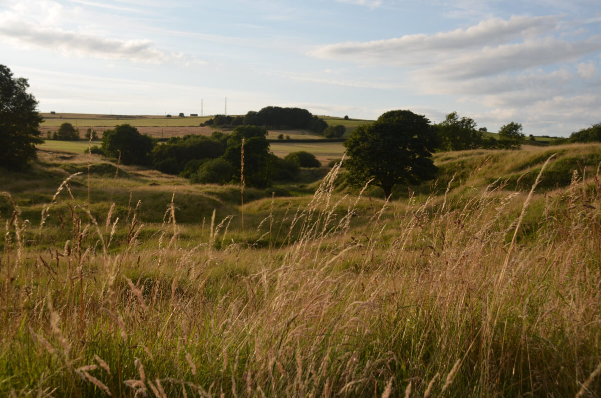 The site of the Roman-era lead mine at Charterhouse on Mendip