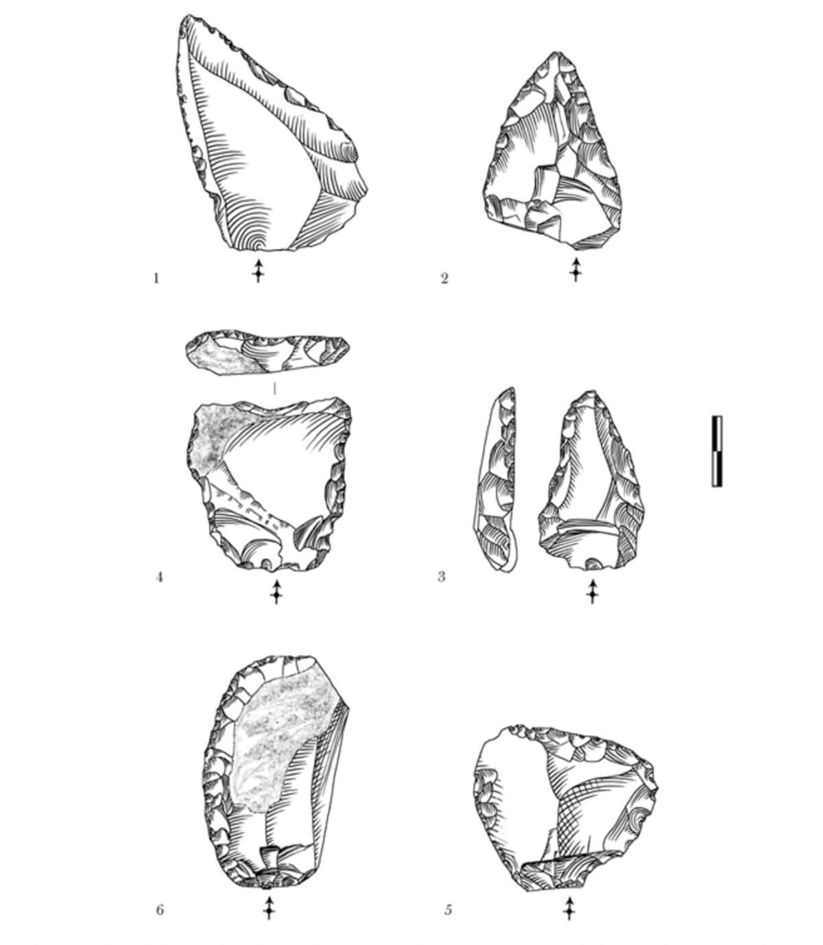 Neanderthal tools